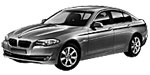 BMW F10 C013E Fault Code